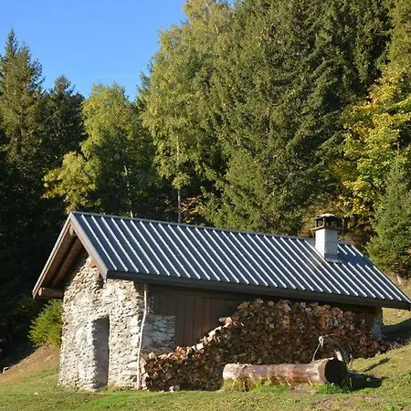 Mini Savoyard
